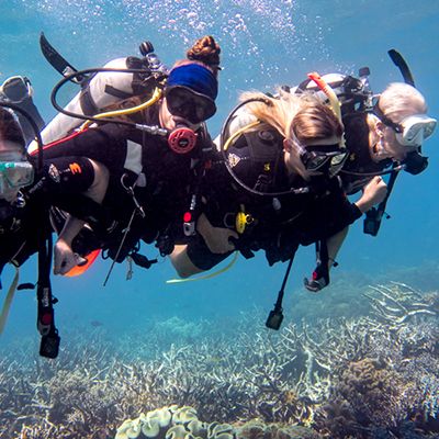 Group of divers in the coral gardens of the Great BArrier Reef
