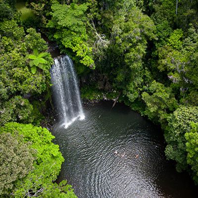Millaa Millaa Falls, Atherton Tablelands with green forest surrounds