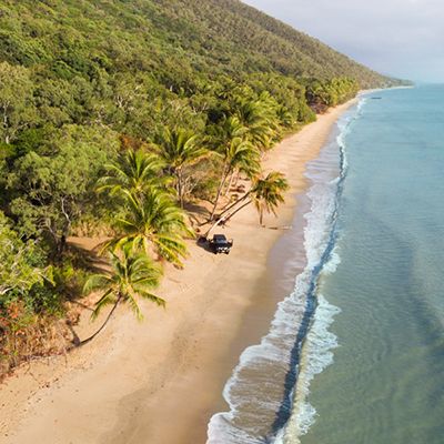 An aerial shot of the Cape Trib Palm forest meeting with Beach