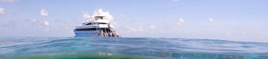 Evolution Reef Cruise on the Great Barrier Reef