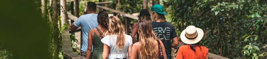 Group of seven people walking through rainforests at K'gari (Fraser Island)