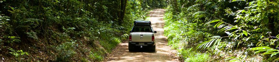 Back of Amarok 4WD in rainforest