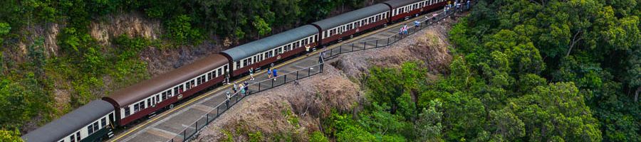Train on the tracks amongst the rainforest 