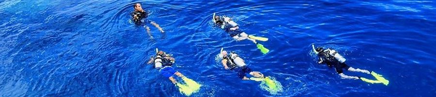 Four introductory divers and one instructor on the Great Barrier Reef