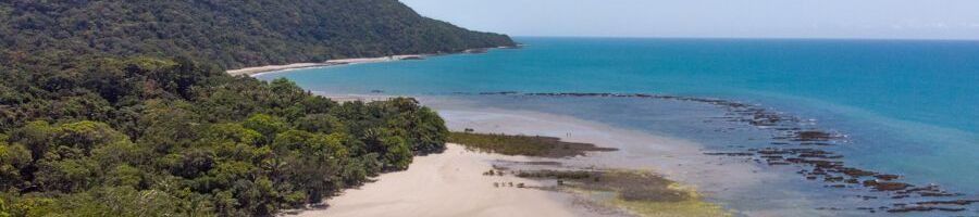 An aerial shot of Cape Tribulation beach