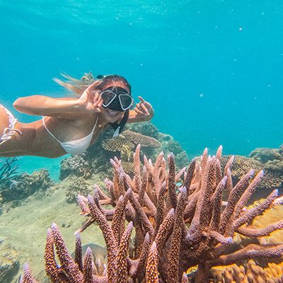 A woman in a white bikini snorkelling with coral in the Great Barrier Reef