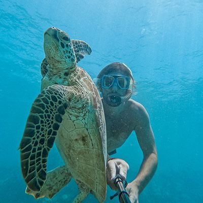 A man with a turtle in the Great Barrier Reef