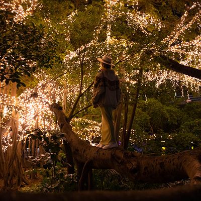 A woman in a hat standing in a tree with golden fairy lights