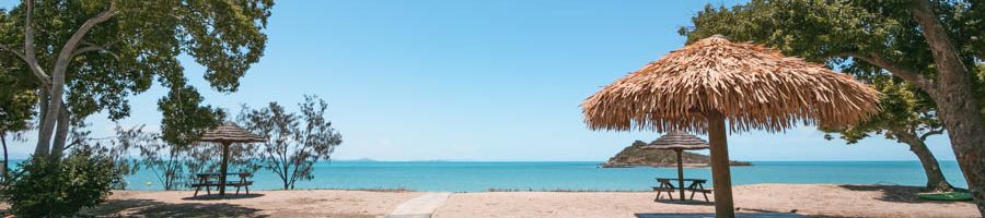 beach palm trees and umbrella in front of the blue ocean