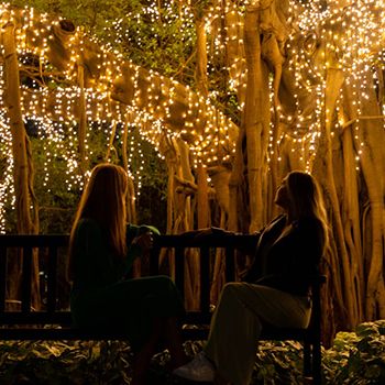 Two people sitting on a bench under golden lights in Brisbane Botanical gardens