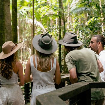 A group of backpackers in the rainforest