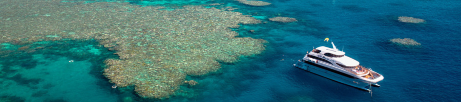 Down-Under-Dive-Aerial View