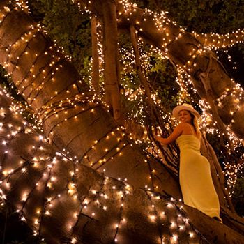 A woman climbing front of a sparkling fairy-lit tree