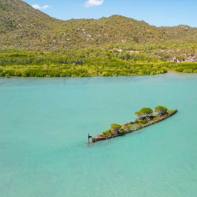 A blue sea with a green island of trees