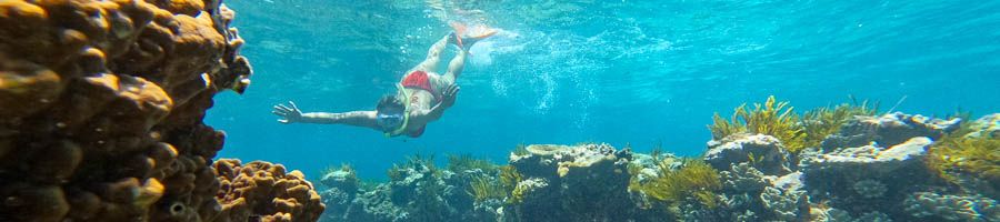 A women snorkelling in the Great Barrier Reef