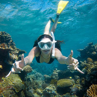 girl snorkelling in the great barrier reef near cairns