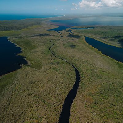 aerial view of the lush Noosa everglades waterways