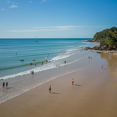 Noosa beach filled with surfers