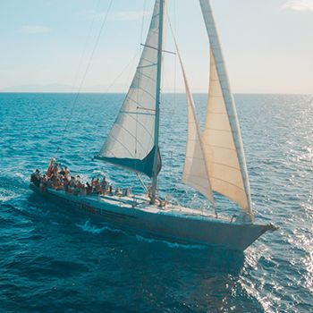 A sailboat in the blue waters of the Whitsundays