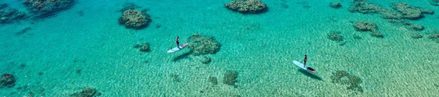 Paddleboarding gliding over turquoise waters and reefs