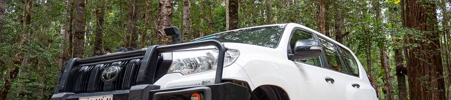 close up image of toyota landcruiser in the forest