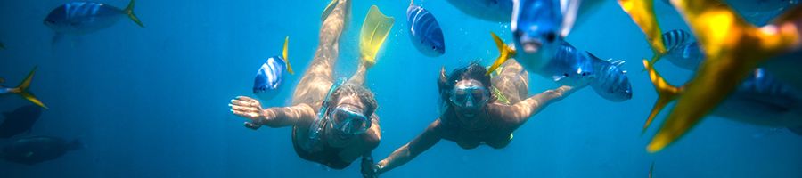 two girls snorkelling underwater with tropical fish