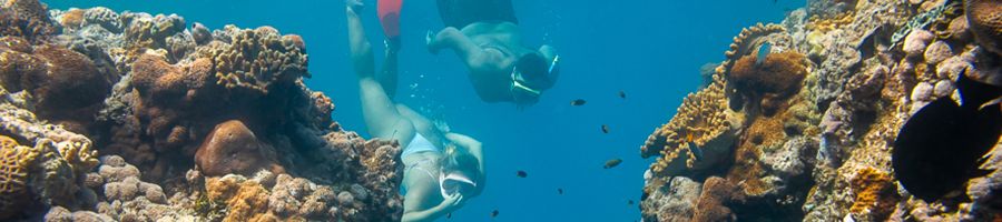 couple snorkeling amongst coral reefs