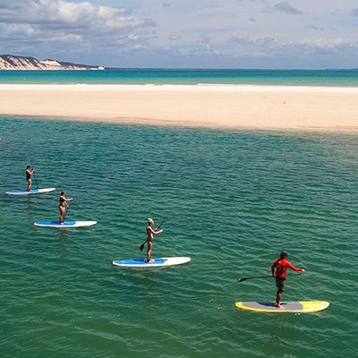 tour guide leading travellers around the ocean on SUPs