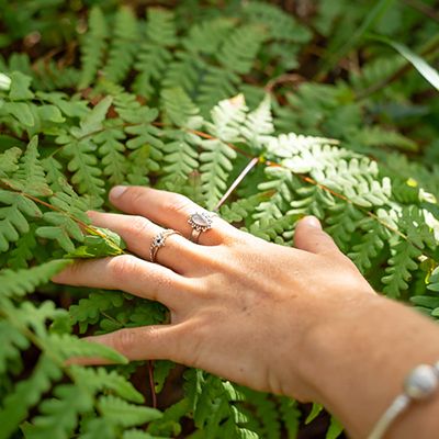 A hand on a fern with rings in the sunlight