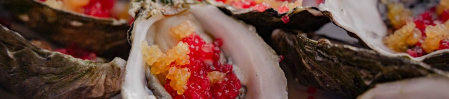 close up of oysters with colorful pearls