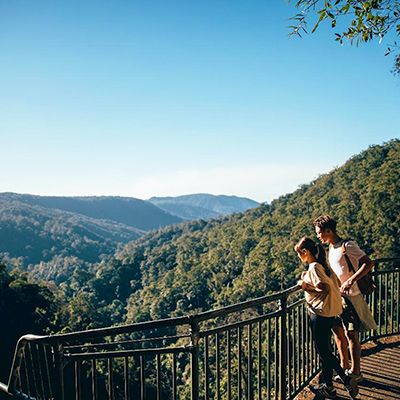 A couple looking out at the scenic rim in Springbrook National Park