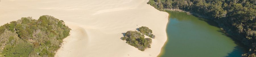 Lake Wabby on K'gari surrounded by sand dunes