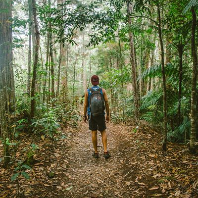 traveller backpacking through the lush rainforest in Australia