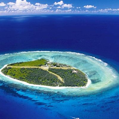 aerial view of lady elliot island and surrounding ocean and reef