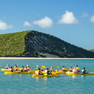 tour group kayaking at double island point queensland