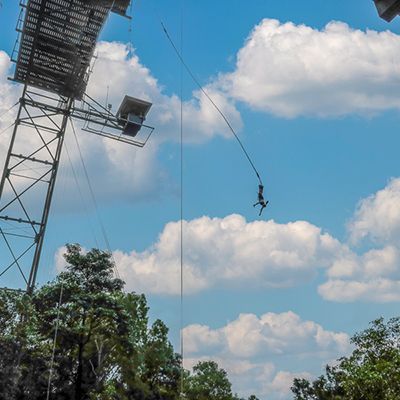 person bungy jumping against a blue sky and trees