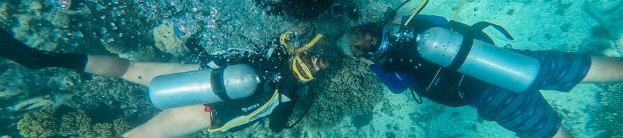 scuba divers exploring the ocean floor of great barrier reef
