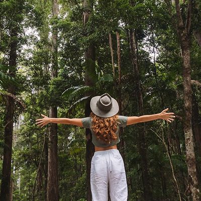 traveller looking up at the majestic rainforest in australia