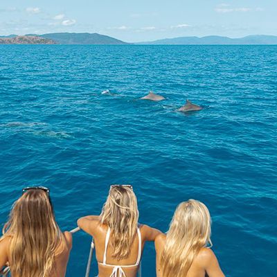 girls watching dolphins in the ocean on board a tour boat