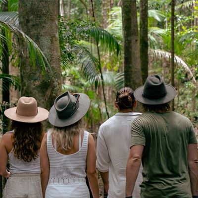 group walking through the tropical rainforest