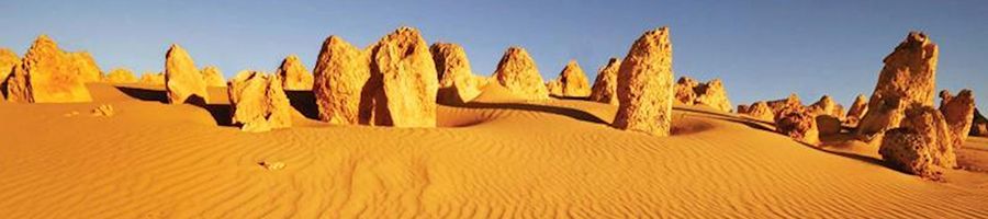 pinnacles limestone rock formations in the red desert sand in WA