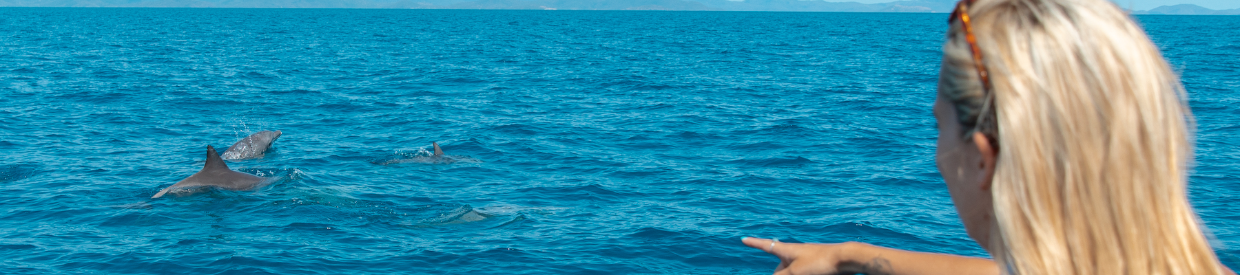 The back of a blonde haired woman on a boat pointing at a dolphin in the ocean