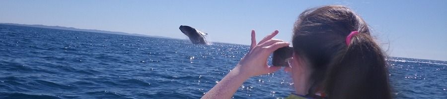 A kayaker taking a photo of a whale