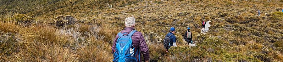 A group of walkers in the Cradle Mountain grassy mountains