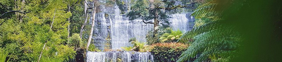 Russell Falls with green ferns