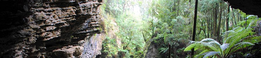 Trowutta Arch with waterfalls, stone and fern forest in takayana