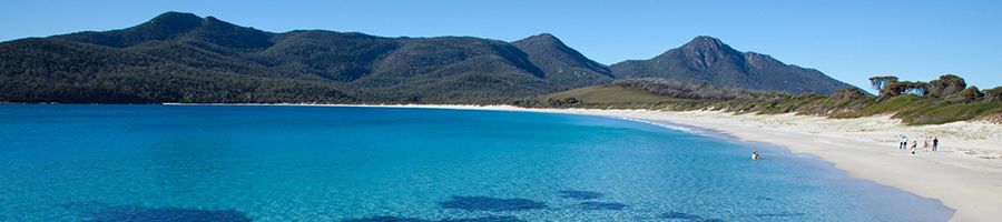 Wineglass Bay's blue water, white sand and trees