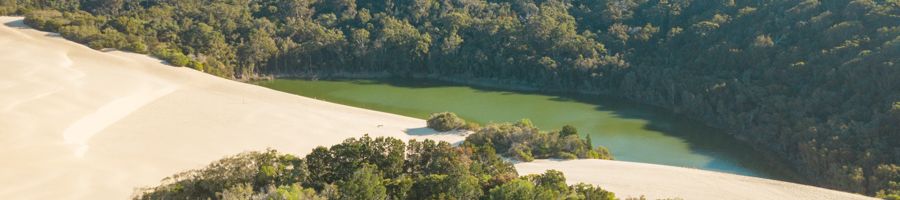 emerald green lake surrounded by sand dunes and forest