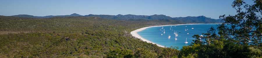 whitsunday islands forest and whitehaven beach