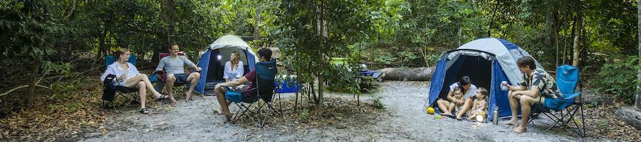 tents and campers relaxing in a forest campsite on whitsunday island